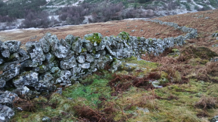 top wall head dyke